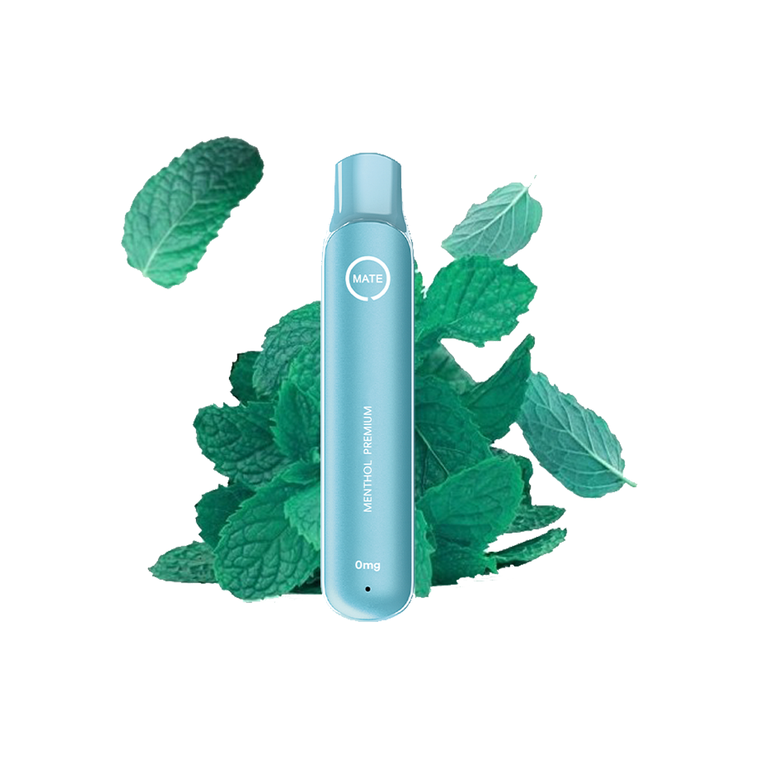Flawoor 600puffs Menthol premium  Jetable  xvape.ma Maroc.
