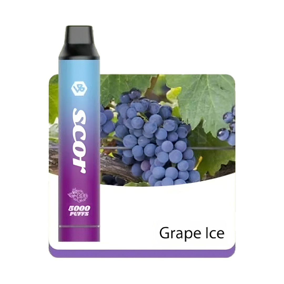 VOOKBAR SCOR - Grape Ice - 5000 Taffs 5%  Jetable  xvape.ma Maroc.