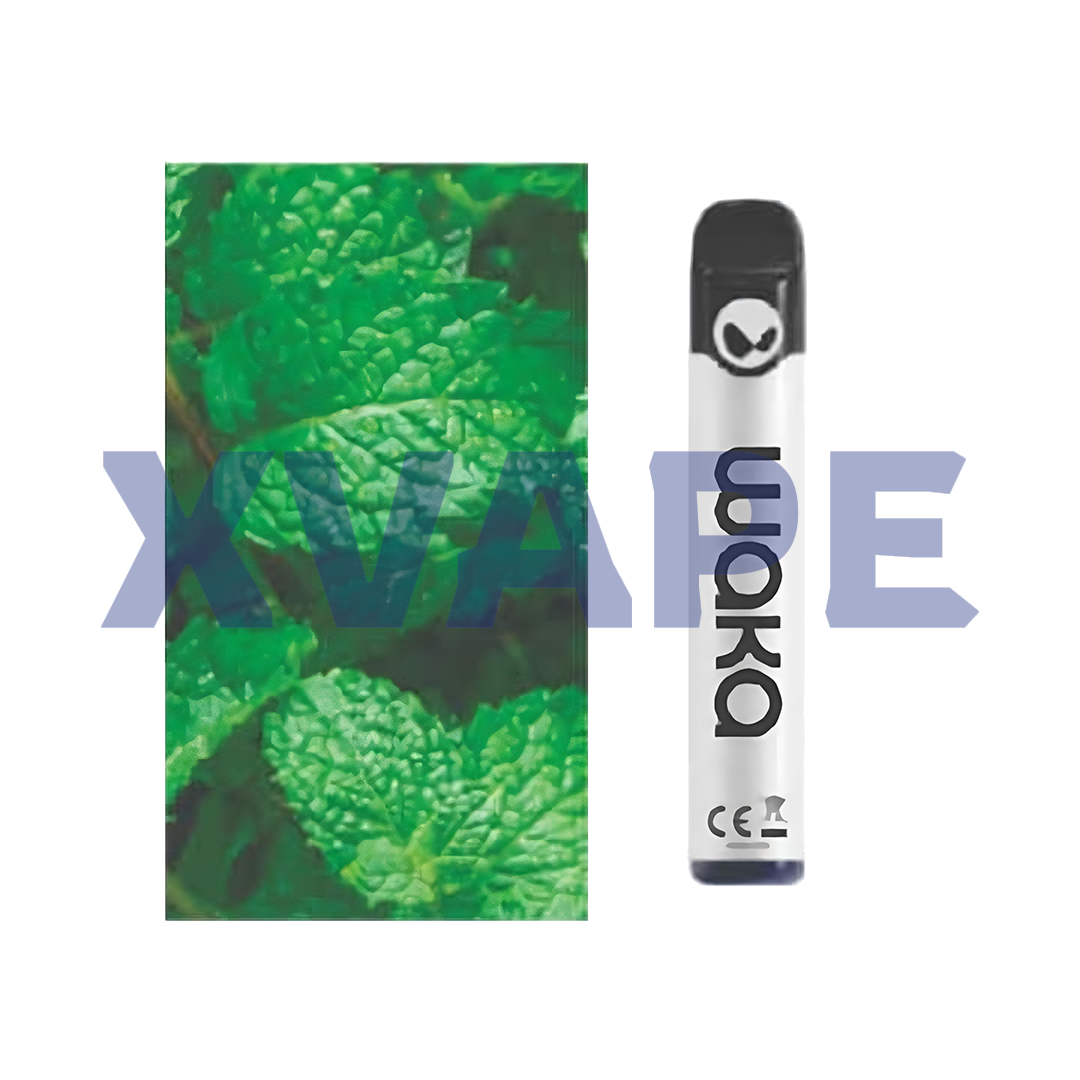 WAKA solo 2 2500 puffs - Fresh Mint