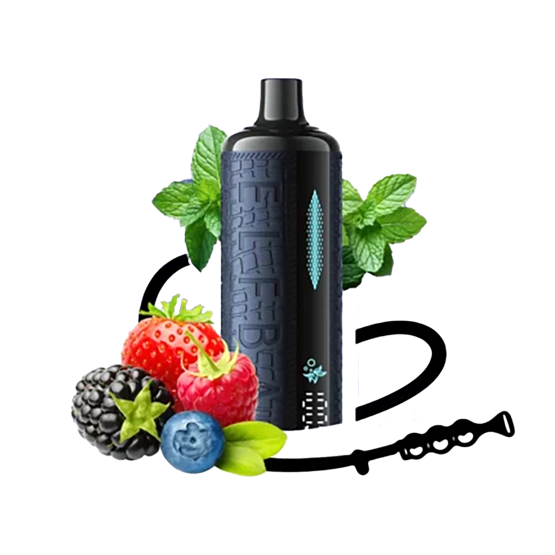 ELFBAR E-shisha - Berry Mint - 5MG  Jetable  xvape.ma Maroc.