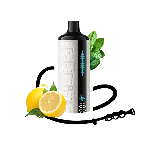 ELFBAR E-shisha - Lemon Mint - 5MG  Jetable  xvape.ma Maroc.