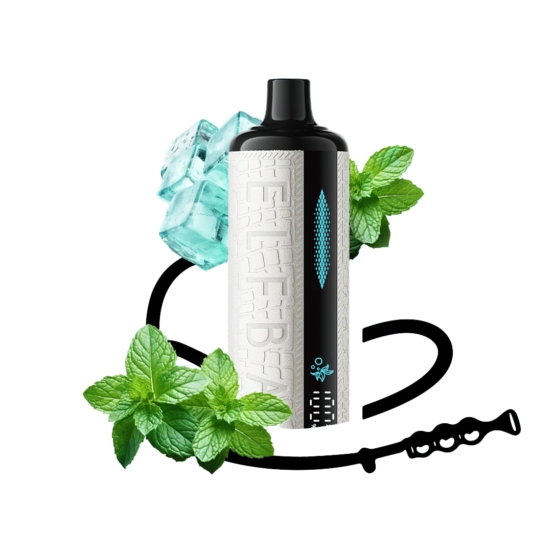 ELFBAR E-shisha - Mint Freeze - 5MG  Jetable  xvape.ma Maroc.