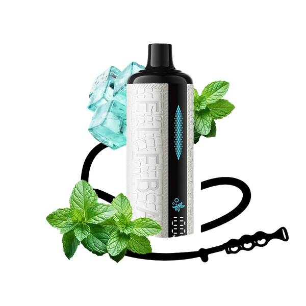 ELFBAR E-shisha - Mint Freeze - 5MG  Jetable  xvape.ma Maroc.