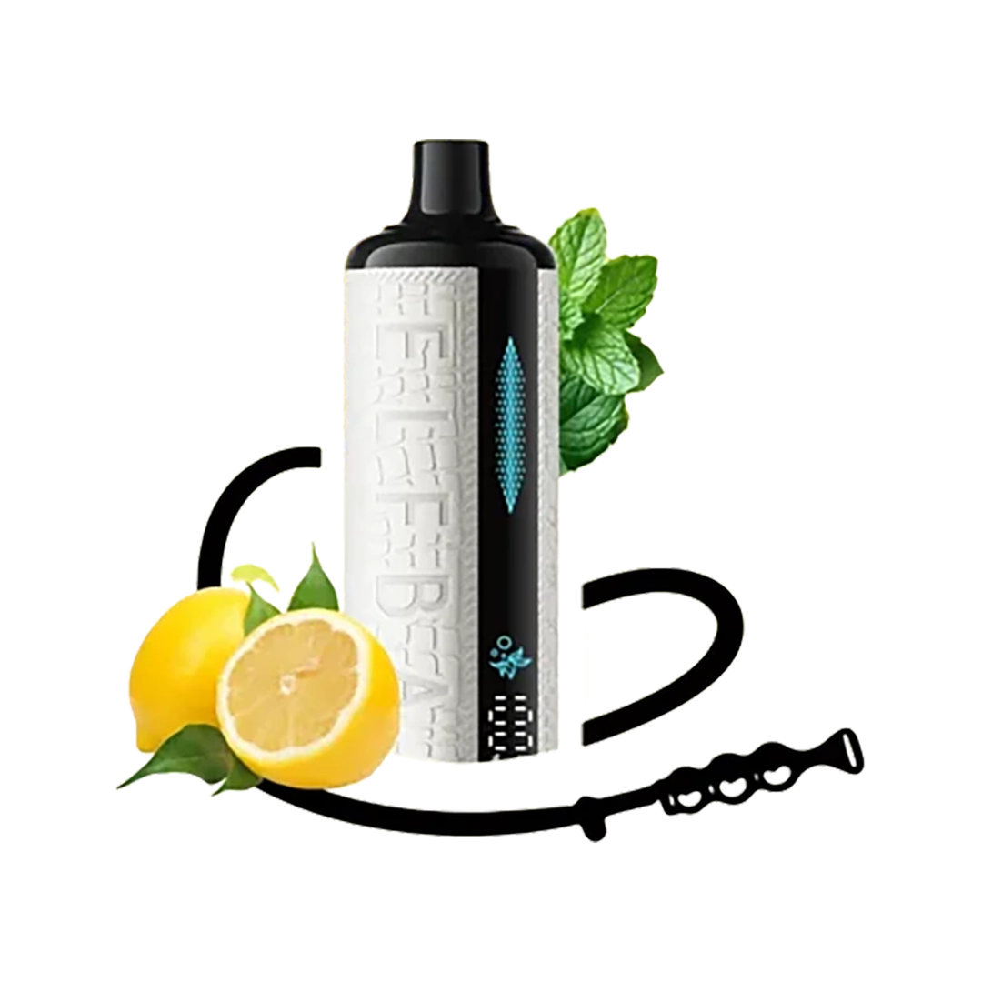 ElfBar E-shisha 30K - Lemon Mint - 5%