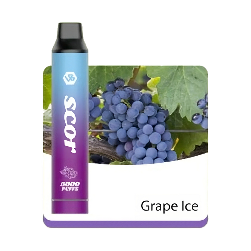 VOOKBAR SCOR - Grape Ice - 5000 Taffs 5%  Jetable  xvape.ma Maroc.