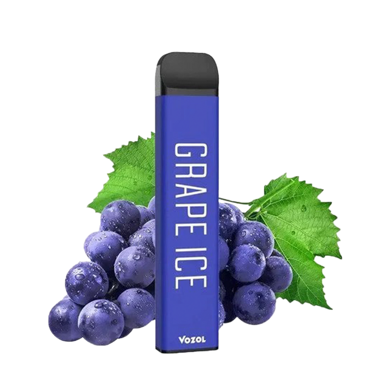 Vozol 1200 GRAPE ICE
