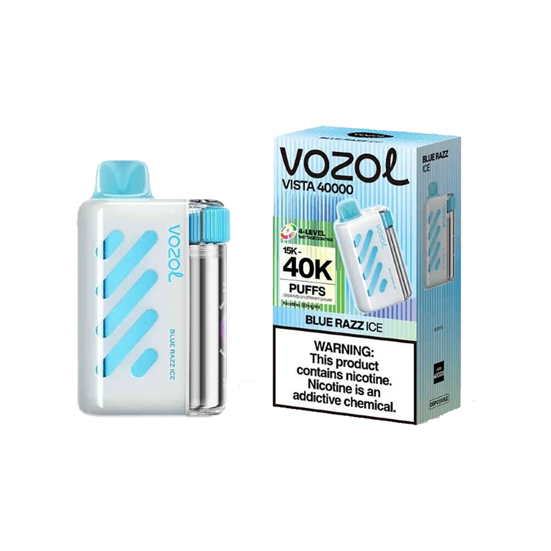 Vozol Vista 40K Puffs - Blueberry Ice - 5%