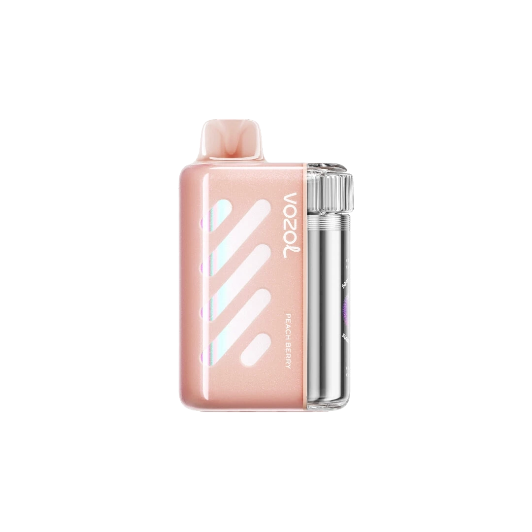 Vozol Vista 40K Puffs - Juicy Peach - 5%