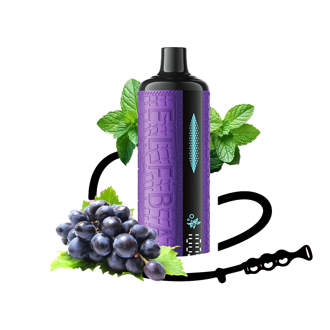 ELFBAR E-shisha - Grape Mint - 5MG  Jetable  xvape.ma Maroc.